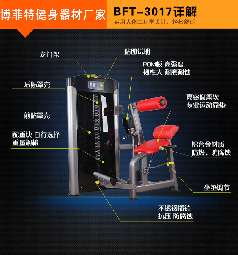 后背伸展美女叼嘿网站